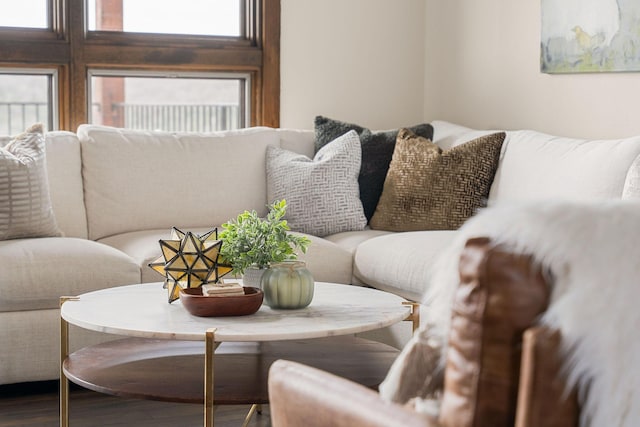 living room featuring wood finished floors