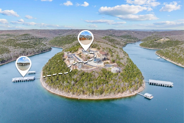 birds eye view of property with a water view and a forest view