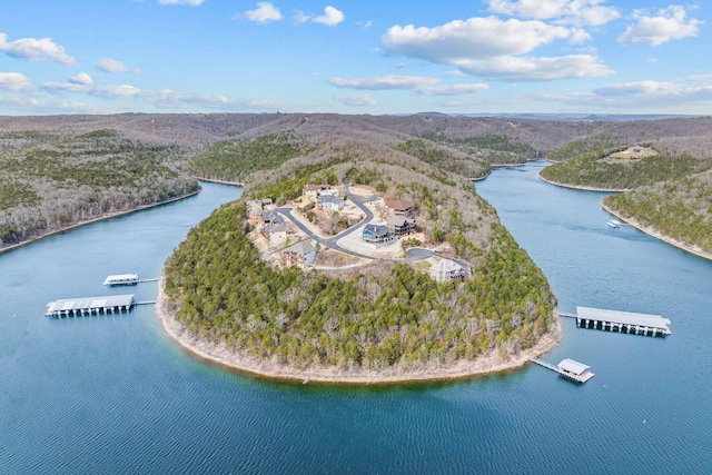 aerial view featuring a water view and a forest view