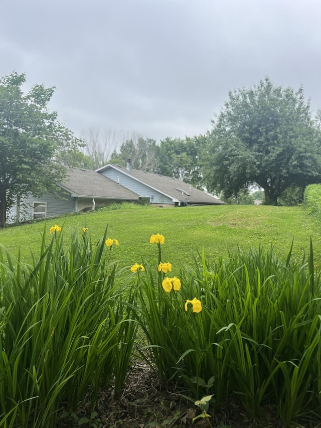 208 N Julie Ave, Mansfield, MO 65704 - view of grassy yard