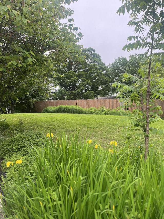 208 N Julie Ave, Mansfield, MO 65704 - view of yard
