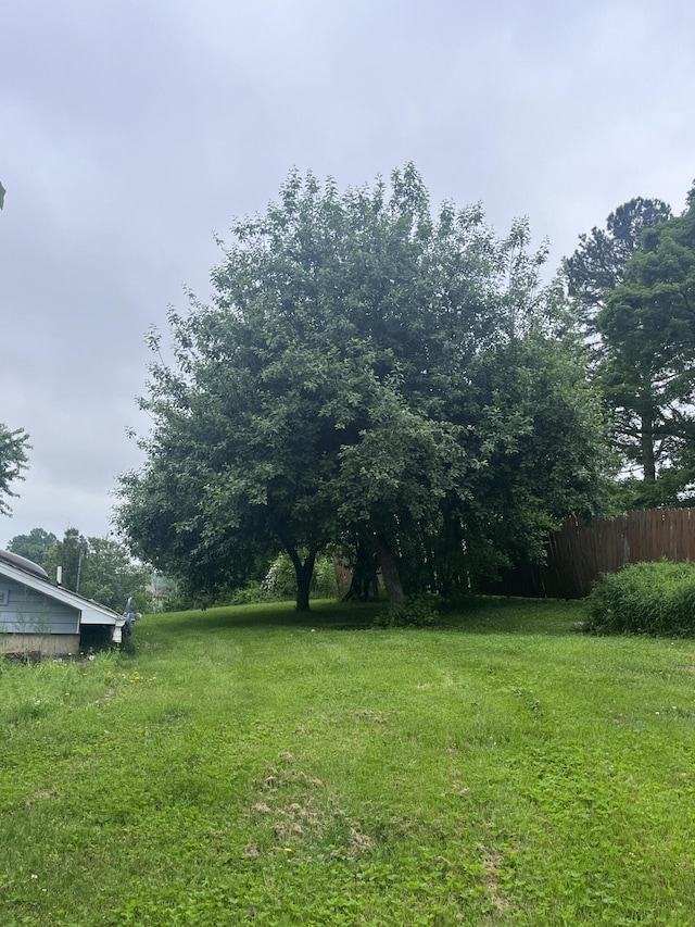 208 N Julie Ave, Mansfield, MO 65704 - view of yard