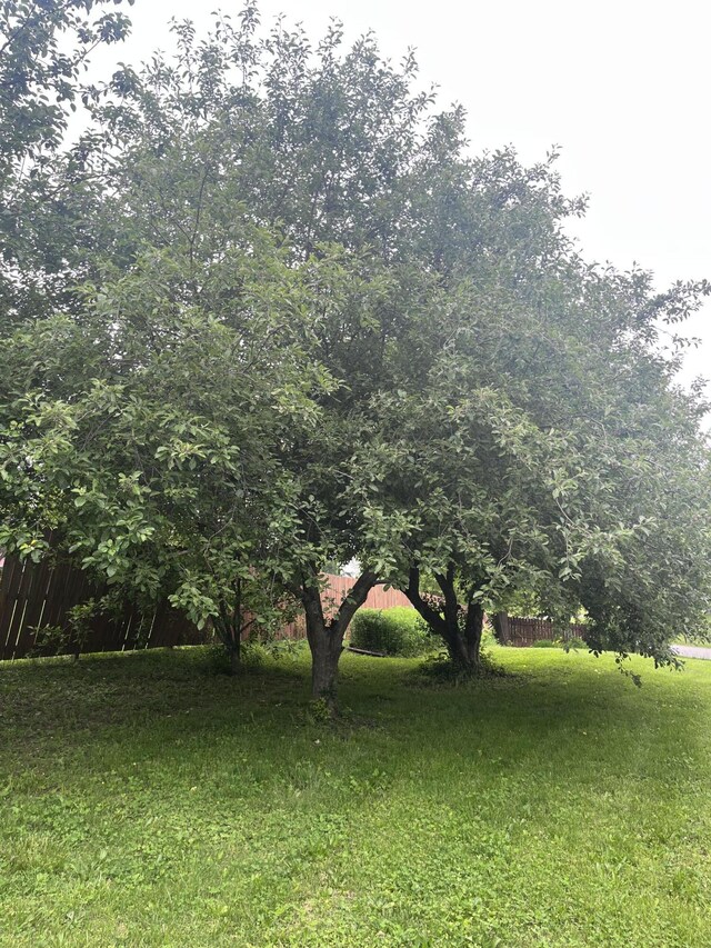 208 N Julie Ave, Mansfield, MO 65704 - view of yard
