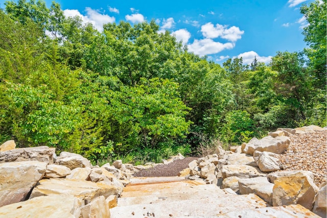 201-217 Watersound Way, Hollister, MO 65672 - view of nature