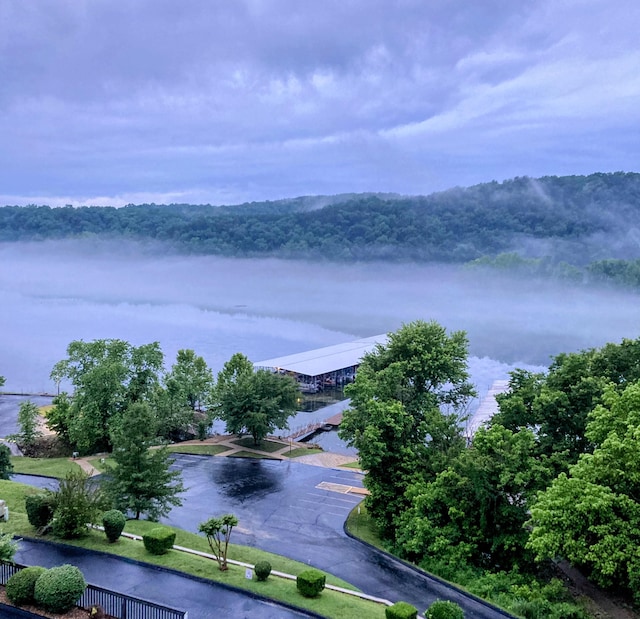 150 Sunken Forest Dr Unit 1-108, Forsyth, MO 65653 - water view