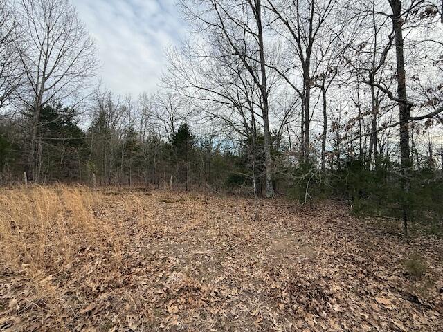 000 County Road 544, Caulfield, MO 65626