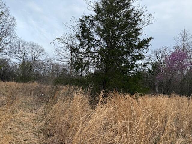 000 County Road 544, Caulfield, MO 65626