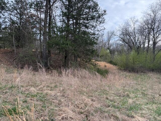 000 County Road 544, Caulfield, MO 65626