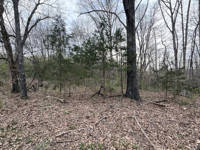 000 County Road 544, Caulfield, MO 65626