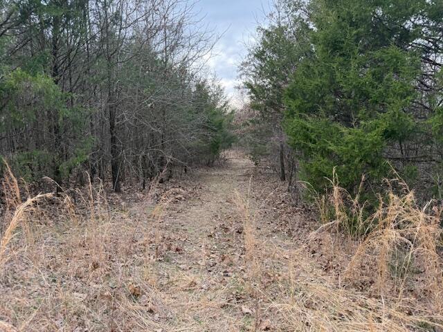 000 County Road 544, Caulfield, MO 65626