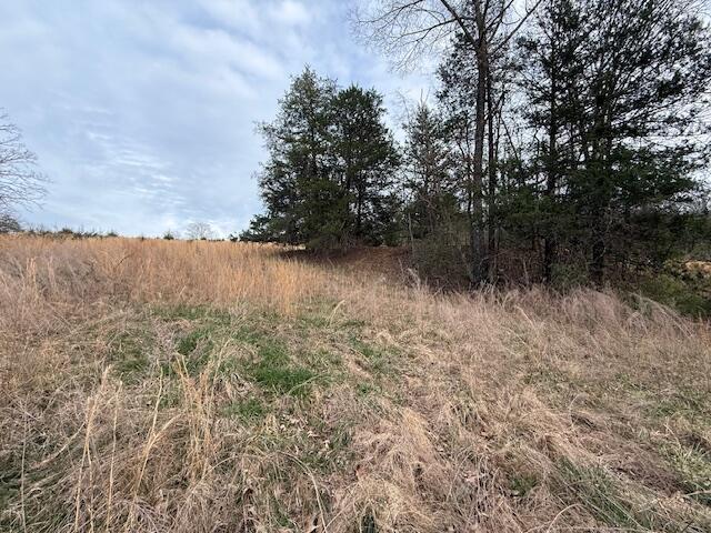 000 County Road 544, Caulfield, MO 65626