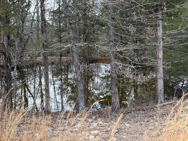 000 County Road 544, Caulfield, MO 65626