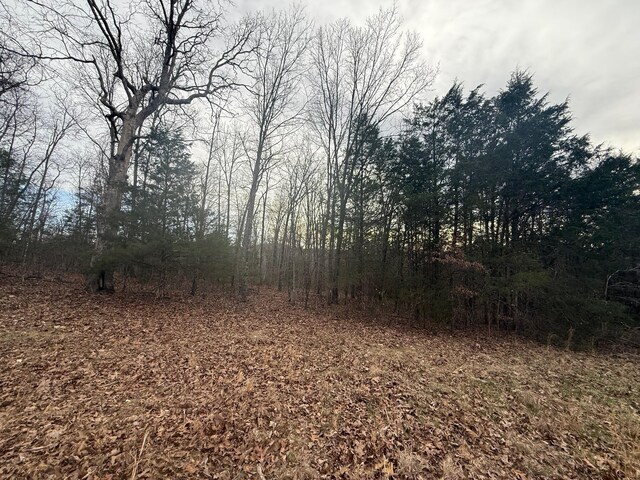 000 County Road 544, Caulfield, MO 65626