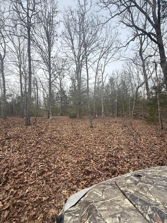 000 County Road 544, Caulfield, MO 65626