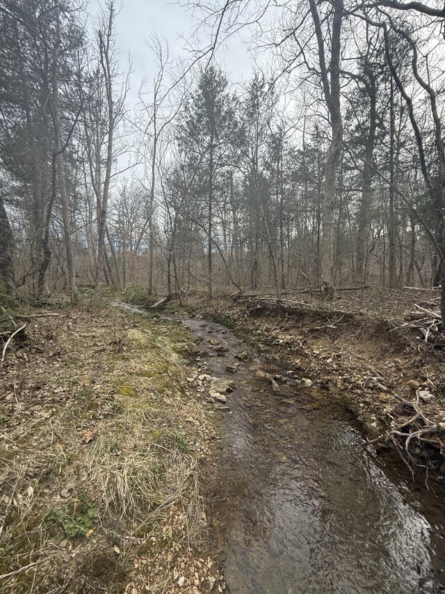 000 County Road 544, Caulfield, MO 65626