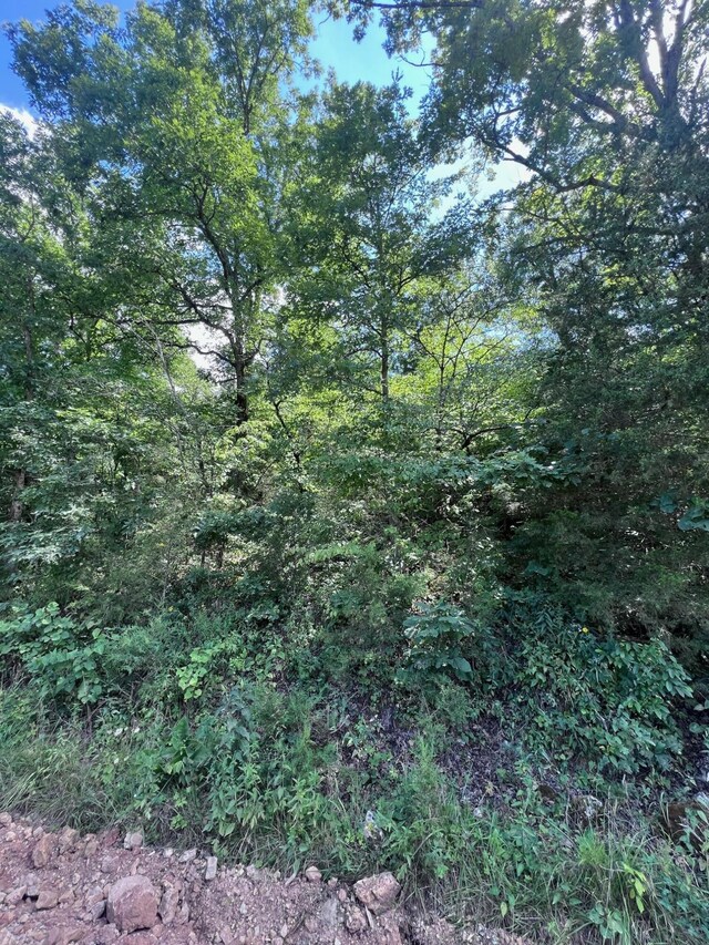 000 County Road 544, Caulfield, MO 65626