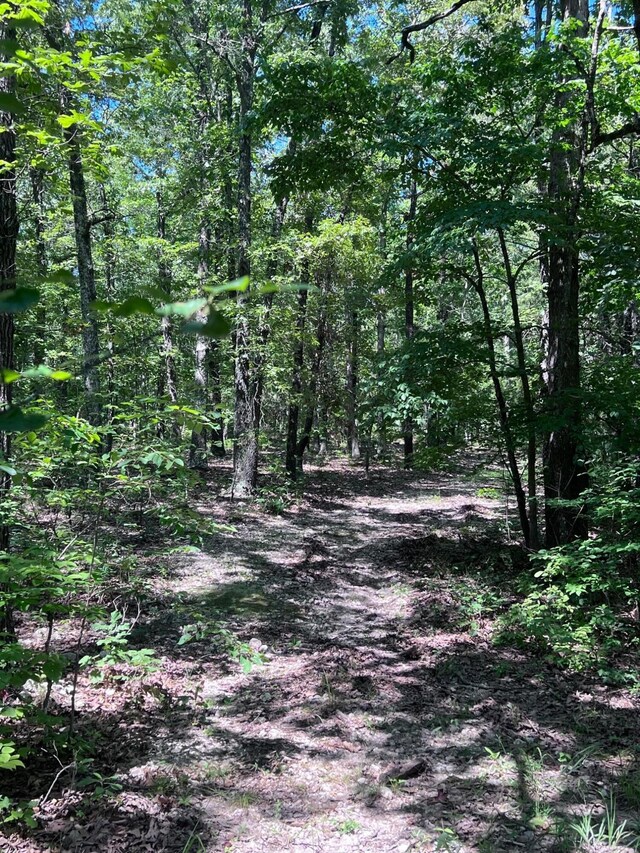 000 County Road 544, Caulfield, MO 65626