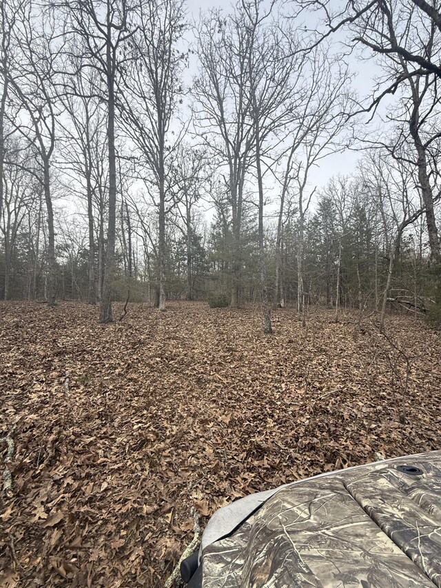 000 County Road 544, Caulfield, MO 65626