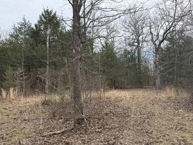 000 County Road 544, Caulfield, MO 65626