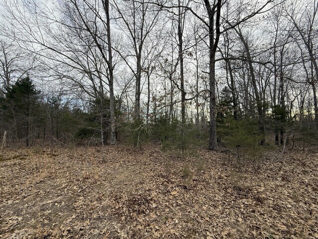000 County Road 544, Caulfield, MO 65626
