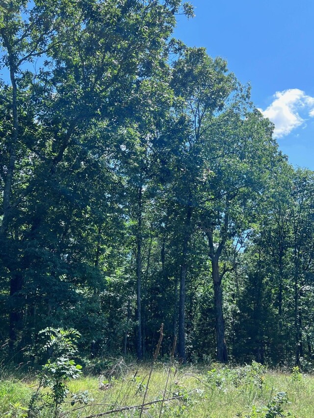 000 County Road 544, Caulfield, MO 65626