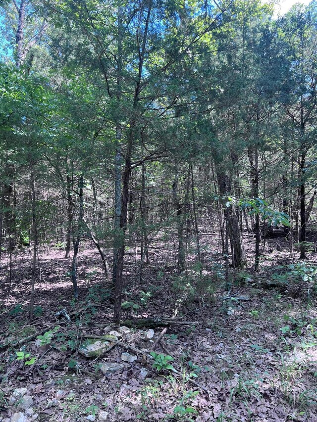000 County Road 544, Caulfield, MO 65626