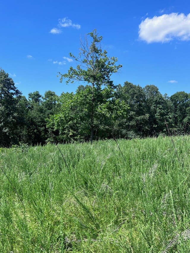 000 County Road 544, Caulfield, MO 65626