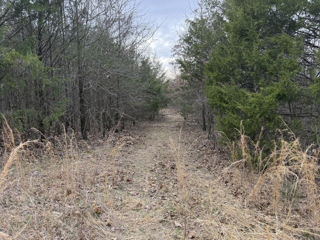 000 County Road 544, Caulfield, MO 65626