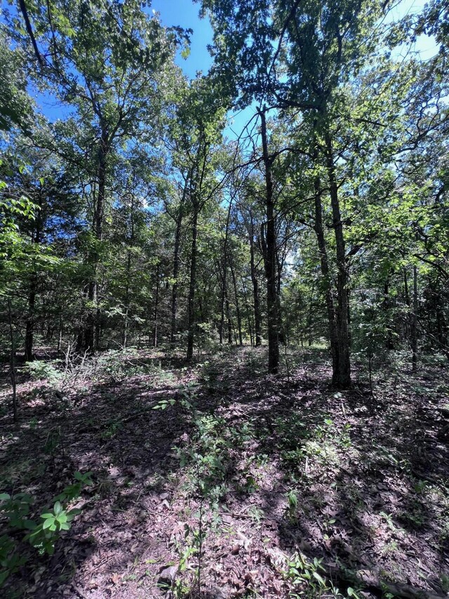 000 County Road 544, Caulfield, MO 65626