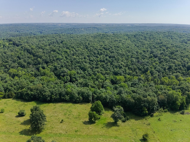 000 County Road 544, Caulfield, MO 65626 - photo 9
