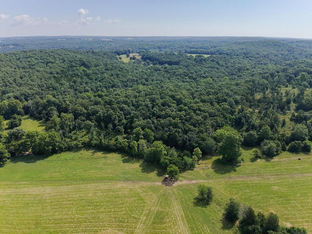 000 County Road 544, Caulfield, MO 65626 - photo 4