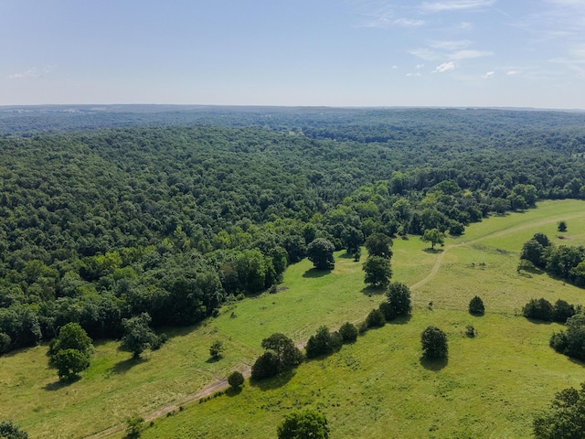 000 County Road 544, Caulfield, MO 65626 - photo 10