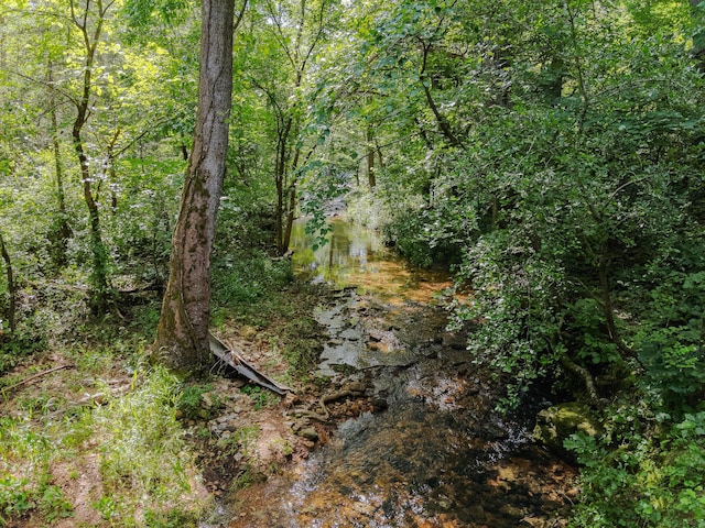 000 County Road 544, Caulfield, MO 65626 - photo 14