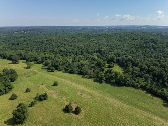 000 County Road 544, Caulfield, MO 65626 - photo 16