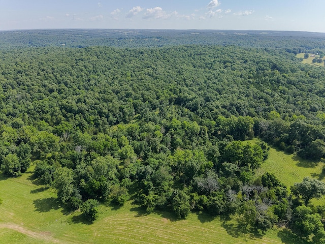 000 County Road 544, Caulfield, MO 65626 - photo 17