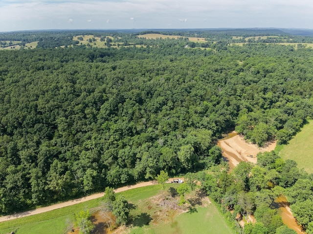 000 County Road 544, Caulfield, MO 65626 - photo 23
