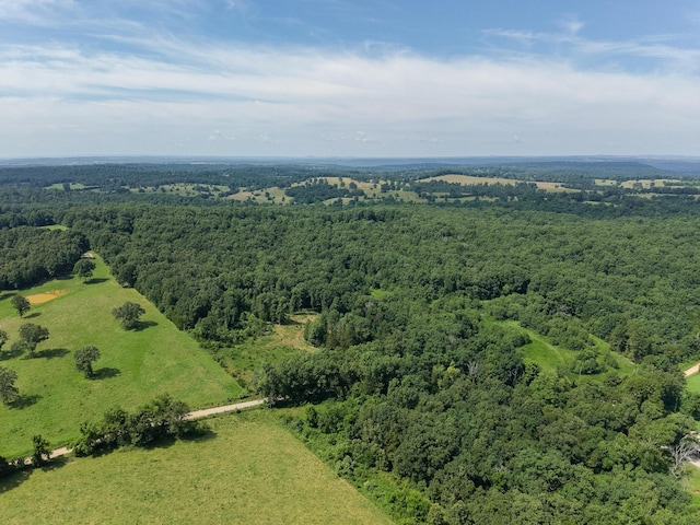 000 County Road 544, Caulfield, MO 65626 - photo 27