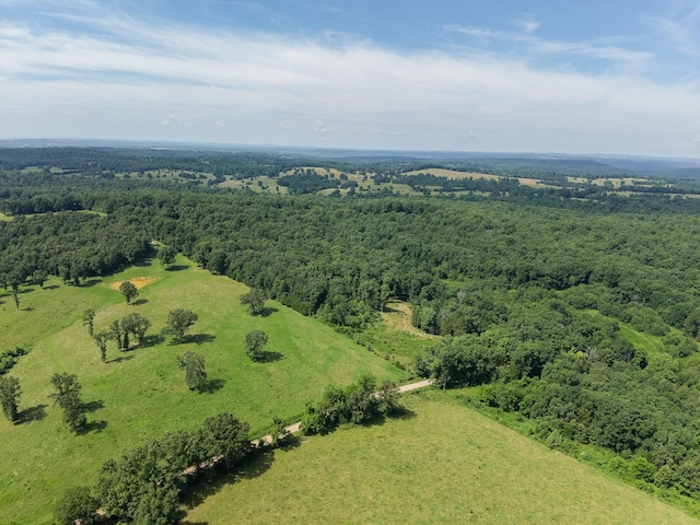 000 County Road 544, Caulfield, MO 65626 - photo 28