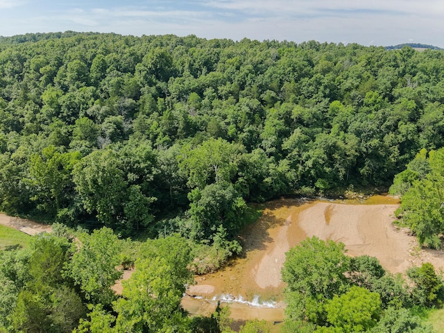 000 County Road 544, Caulfield, MO 65626 - photo 22