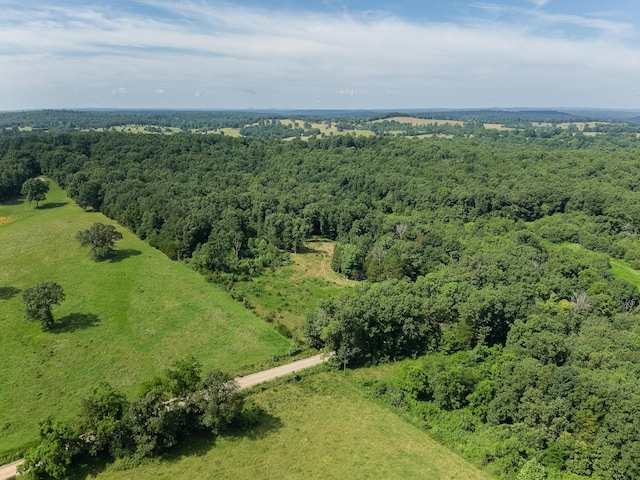 000 County Road 544, Caulfield, MO 65626 - photo 30