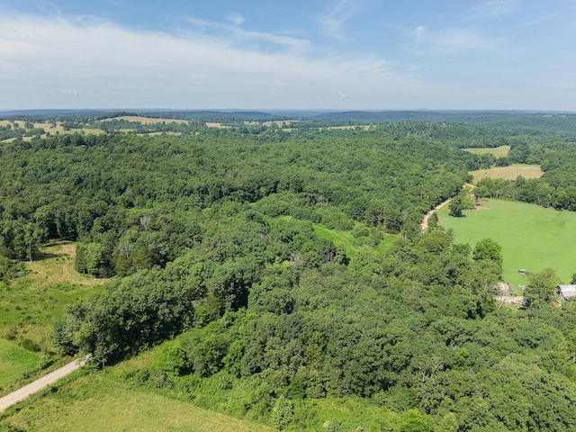 000 County Road 544, Caulfield, MO 65626 - photo 29