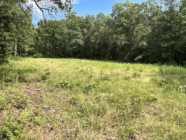 000 County Road 544, Caulfield, MO 65626 - photo 33