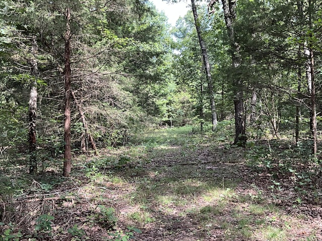 000 County Road 544, Caulfield, MO 65626 - photo 36