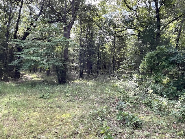 000 County Road 544, Caulfield, MO 65626 - photo 43