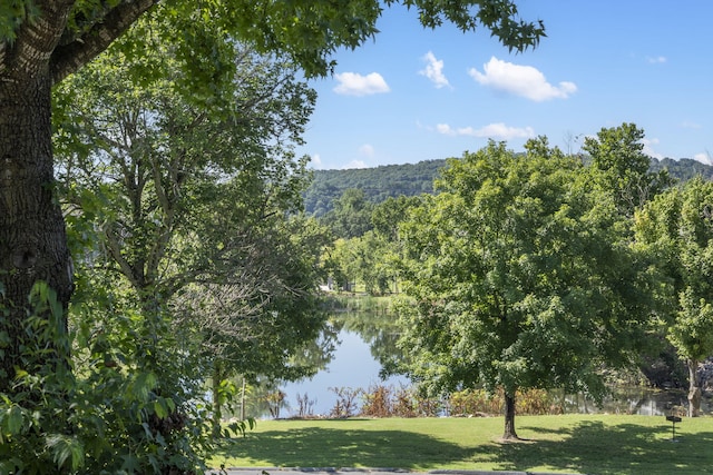 4 Memory Ln Unit 3, Branson, MO 65616 - water view with a heavily wooded area