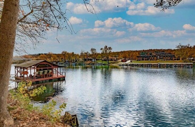 808 Sunset Rd, Branson, MO 65616