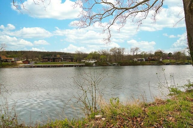 808 Sunset Rd, Branson, MO 65616
