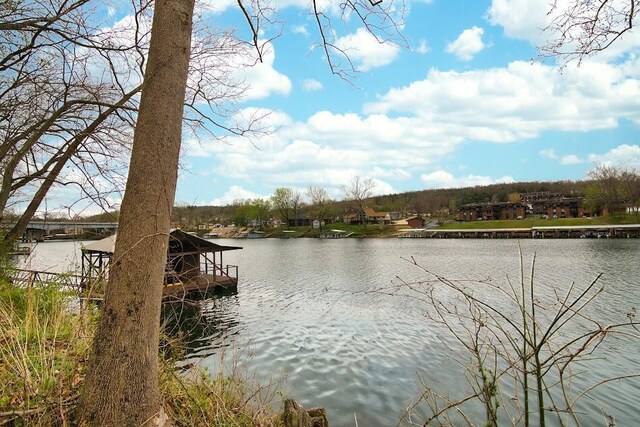 808 Sunset Rd, Branson, MO 65616