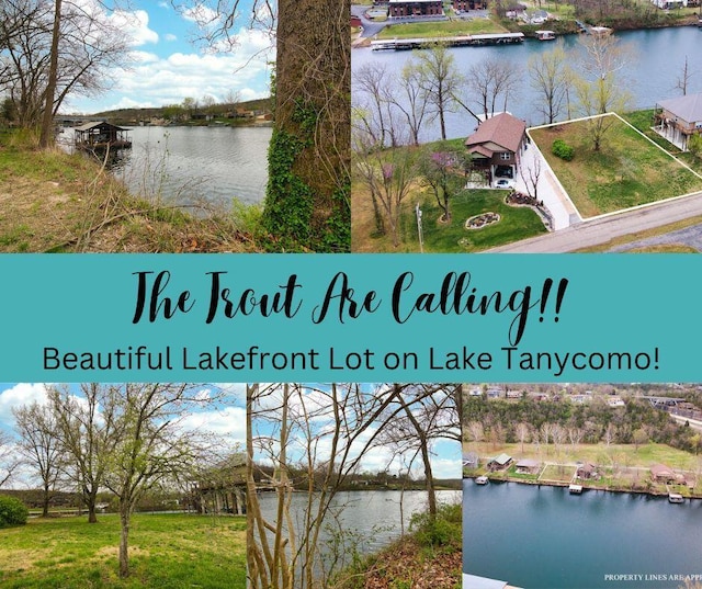 808 Sunset Rd, Branson, MO 65616