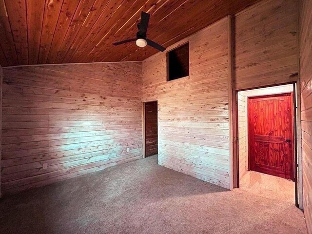 7105 County Road 8200, West Plains, MO 65775 - photo 29